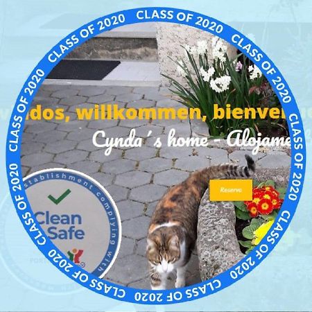 Cynda'S Home Viseu Ngoại thất bức ảnh