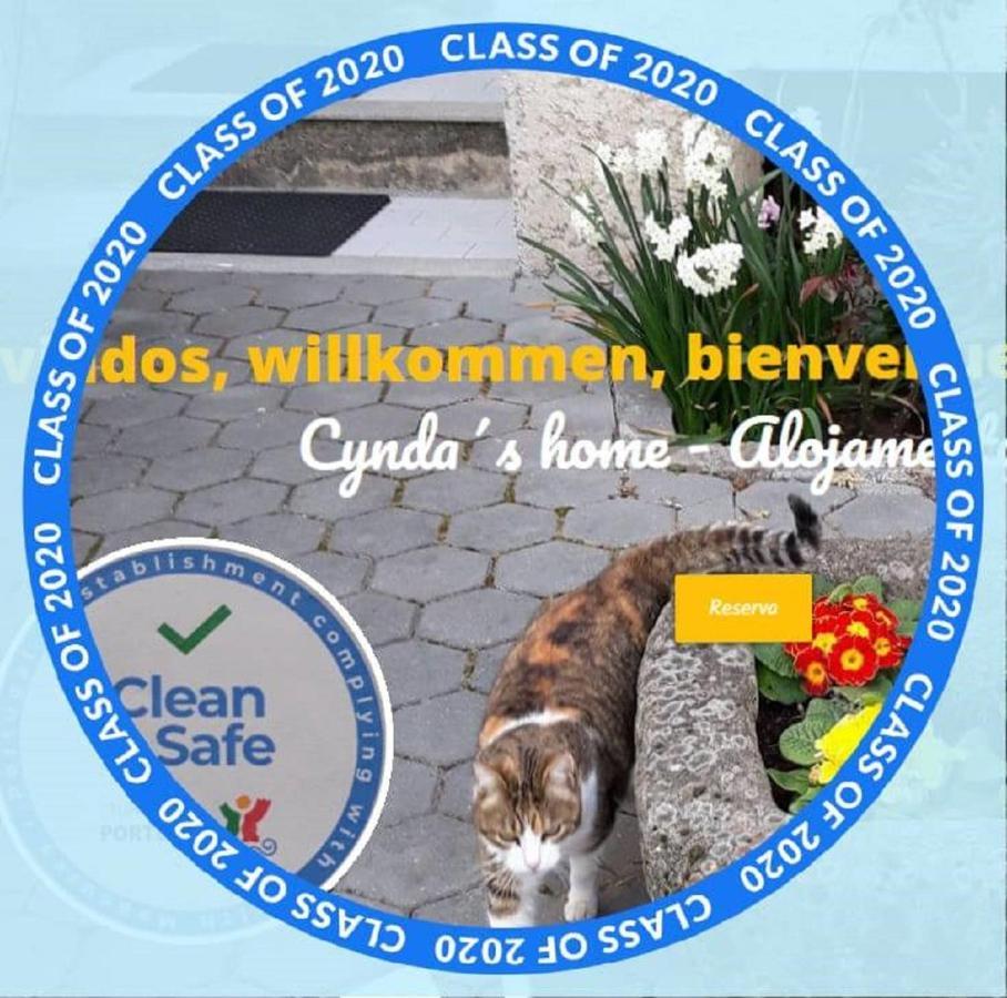 Cynda'S Home Viseu Ngoại thất bức ảnh